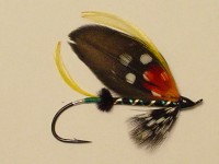 resized image