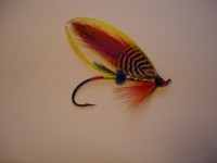 resized image