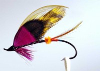 resized image