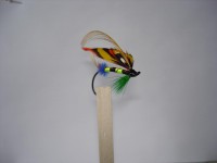 resized image