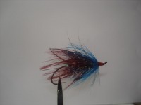 resized image