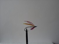 resized image