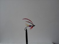 resized image