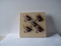 resized image