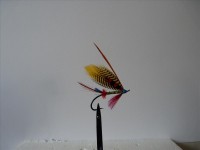 resized image