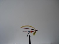 resized image