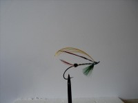 resized image