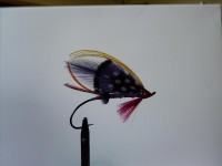 resized image