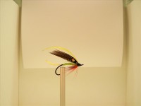 resized image